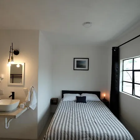 Loft Coyoacan Micaela